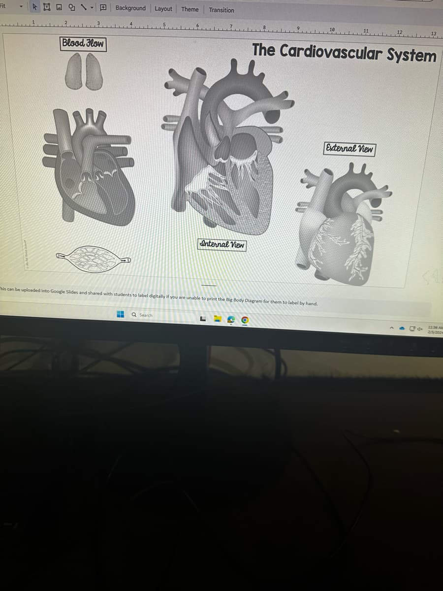 Fit
A Background Layout Theme
Blood Flow
H
6
Q Search
Transition
Internal View
his can be uploaded into Google Slides and shared with students to label digitally if you are unable to print the Big Body Diagram for them to label by hand.
L
@
12
The Cardiovascular System
External View
13
11:36 AL
2/5/202