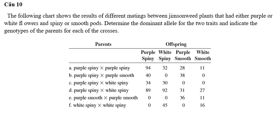 Câu 10
The following chart shows the results of different matings between jimsonweed plants that had either purple or
white flowers and spiny or smooth pods. Determine the dominant allele for the two traits and indicate the
genotypes of the parents for each of the crosses.
Parents
Offspring
Purple White Purple White
Spiny Spiny Smooth Smooth
a. purple spiny x purple spiny
94
32
28
11
b. purple spiny
purple smooth
40
0
38
0
c. purple spiny
white spiny
34
30
0
0
d. purple spiny
white spiny
89
92
31
27
e. purple smooth x purple smooth
0
。
0
36
11
f. white spiny
white spiny
0
45
0
16