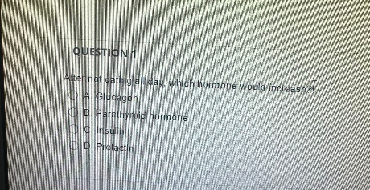 QUESTION 1
After not eating all day, which hormone would increase?
A. Glucagon
B. Parathyroid hormone
C. Insulin
D. Prolactin