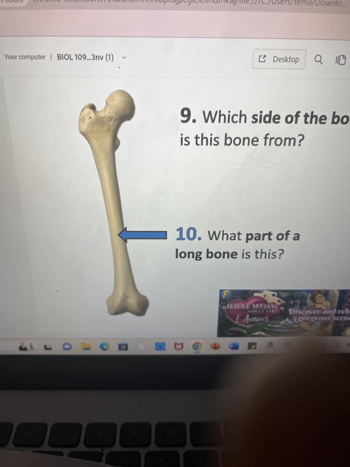 Your computer / BIOL 109...3nv (1)
20
e
V
D
8
9. Which side of the bo
is this bone from?
10. What part of a
long bone is this?
F
Desktop Q 110
JEWEL MATCH
SOLITAIRE
W
LAmour
emil/Downlo.
a
Discover and rebu
5 gorgeous scene
A
as
a