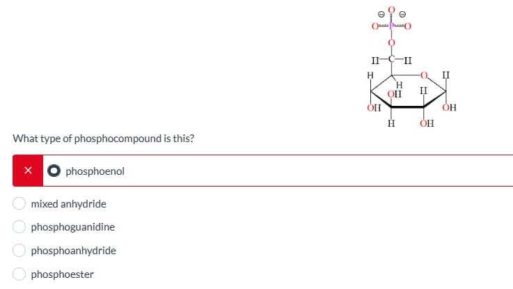 What type of phosphocompound is this?
phosphoenol
mixed anhydride
phosphoguanidine
phosphoanhydride
phosphoester
°
II
II
он
E-
H
OH
ང
ОН
H
ОН